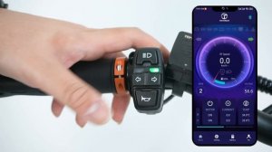 Leopar Teknoloji I Teverun Fighter Mini Pro I Escooter İzmir Türkiye