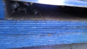 Содержание пчёл в 8-рамочных ульях. Проверка на готовность к расширению