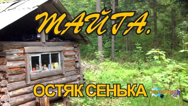 1152 - ТАЙГА  _  ОСТЯК СЕНЬКА смотреть онлайн