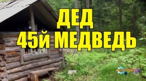 45й МЕДВЕДЬ ДЕДА _ ЖИЗНЬ В ТАЙГЕ