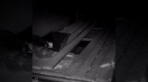 Тайна пропажи сладостей раскрыта...