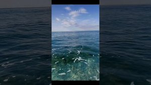 SUN VERA HOTEL ноябрь 2020 г.