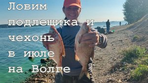 Ловим подлещика и чехонь в июле на Волге