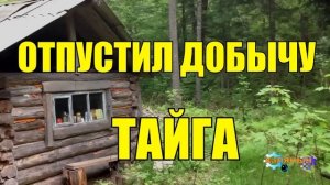 0052 СЕРИАЛ РАССКАЗЫ ЛЕСНИКА СУДЬБА ИСТОРИИ из ЖИЗНИ ВСЕ СЕРИИ МЕДВЕДИ ВОЛКИ в ЛЕСУ ОХОТА РЫБАЛКА