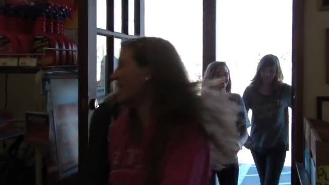 MAds Science Project GALLIUM смотреть онлайн