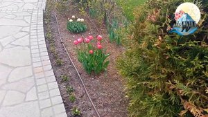 МАСТ МАН МАТЛАБШОХ.МАВЛОНОВ (ш.   А.Шайдо)