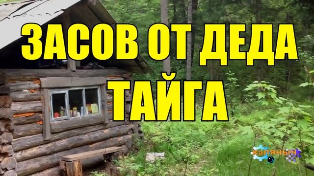 1001 - ЗОЛОТОДОБЫЧА _ ЗАСОВ ДЕДА В ТАЙГЕ смотреть онлайн