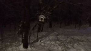 прогулка на олимпийской аллее.