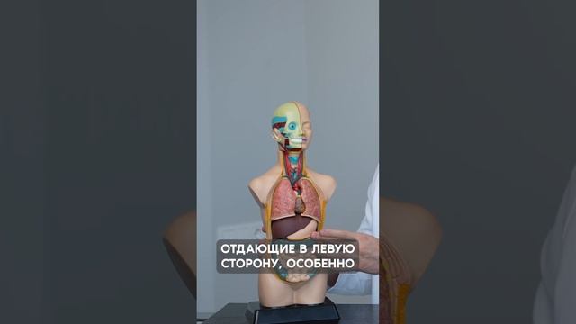 Самодиагностика поджелудочной железы #докторабакумов #здоровье #олегабакумов #врач