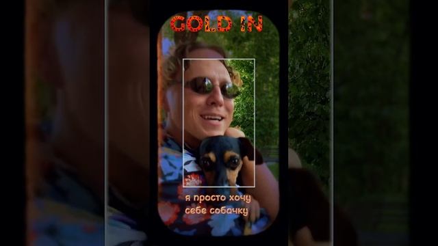 19 июля выйдет новая супер-позитивная песня «Соба4ка» #собака #собачка #хочусобаку #люблюсобак #dog