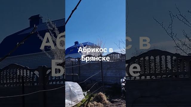 12 апреля 2024 г.