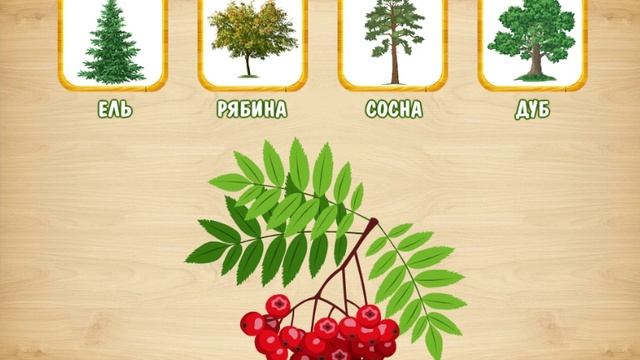 Деревья , игра на внимание память логику и мышление для Малышей Детское