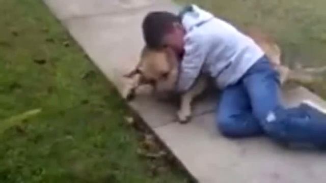 ЭТО СТОИТ УВИДЕТЬ: Встреча хозяина и потерявшейся собаки, которую искали 3 месяца! смотреть онлайн