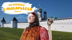 Из Лыскова в МАКАРЬЕВО. Часть 2. Кормлю СТРАУСА с руки и не только | Нижегородская область