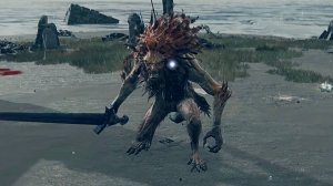 11. прохождение Elden ring, босс - бастард Леонин