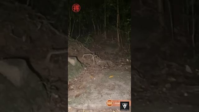 GUNUNG LEDANG - DIKEPUNG ORANG BUNI4N DEPAN KAMERA | KREW DIGANGGU | Loy Ahmad ft Bosswan