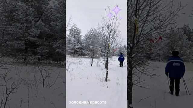 холодная красота