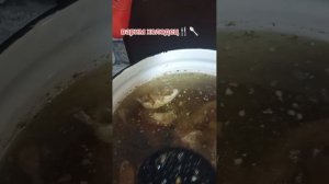 1000028479.mp4