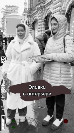 Оливки в интерьере