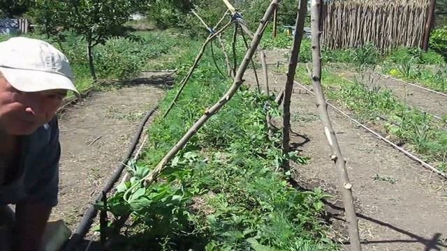 Понедельник день тяжёлый