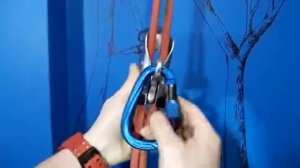 Petzl shunt