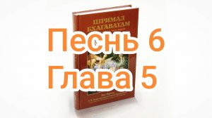 Бхакти-вайбхава, ШБ, Песнь 6, Глава 5, 28 декабря 2024 г.