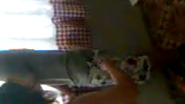 luxa x un pepino( camilo niko ) смотреть онлайн