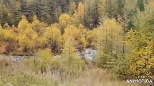 Радоновый ключ.Кыринский район Забайкальский край.