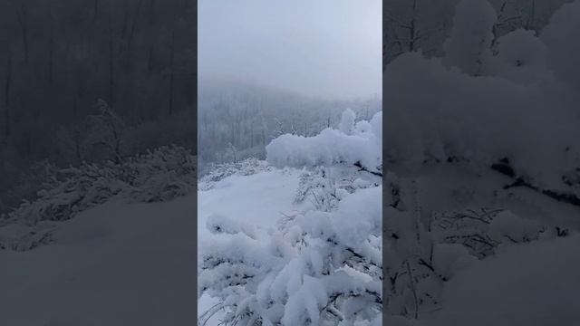 ❄️Марсианский пейзаж горы Отважной.