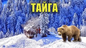МЕДВЕДЬ и ДОМ ЛЕСНИКА СЛУЧАЙ КАК ЖИВУТ ОТШЕЛЬНИК СУДЬБА ЧЕЛОВЕКА ЖИЗНЬ в ЛЕСУ