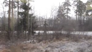 Поселок - Вырица