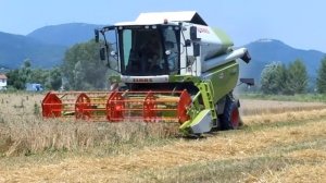 CLAAS Tucano 320 mietitura luglio 2013