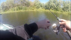 Ловля окуня на новом для меня пруду