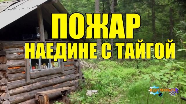 0467 - ПОЖАР В ТАЙГЕ _ КАЖДЫЙ ЗА СЕБЯ _ СУДЬБА ЧЕЛОВЕКА смотреть онлайн