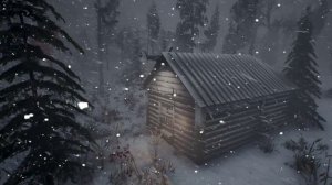 -40 at the ARCTIC STATION and Sounds of an icy snow storm and Howling of a strong wind