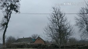 Спил сложных деревьев, когда голова работает 😊