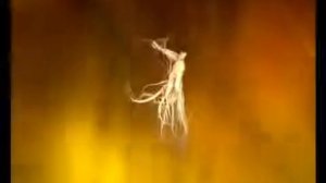 Эликсир Три Драгоценности   Описание продукции FOHOW