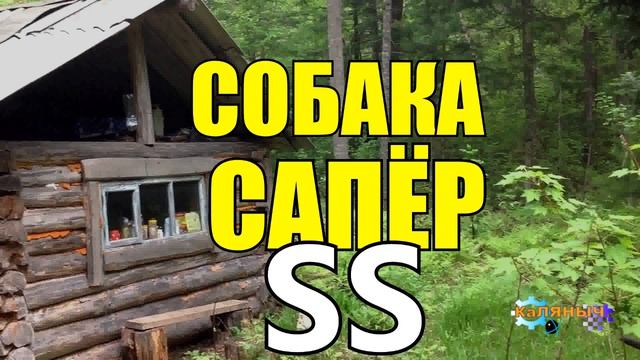 СОБАКА СПАСЛА ЧЕЛОВЕКА ИЗ КОНЦЛАГЕРЯ SS ВОВ смотреть онлайн
