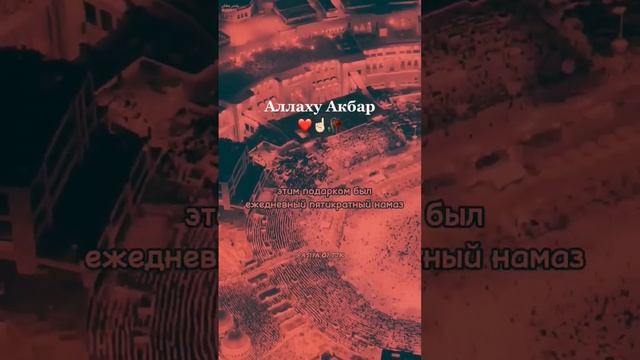 Ля илаhа ила Аллаh💛. #аллах #ислам #религия #коран #коран #сунна #счастье смотреть онлайн