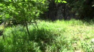 река  Она,  приток  Абакана