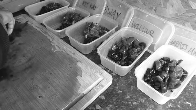 What to feed a bird of prey | What do birds of prey eat  | Meal prepping for birds