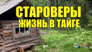 СТАРОВЕРЫ _ ЖИЗНЬ В ТАЙГЕ _ СТАРОВЕРЫ СИБИРИ