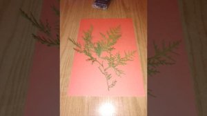 про то как сделать картину из природного материала