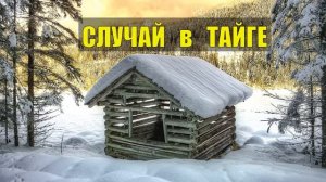 0477 ЛЕСНИК СУДЬБА в ЛЕСУ ИСТОРИИ из ЖИЗНИ ЛЕСОРУБЫ РАССКАЗЫ ЖИЗНЕННЫЕ ЖИЗНЬ в ТАЙГЕ в ЛЕСУ СЕРИАЛ