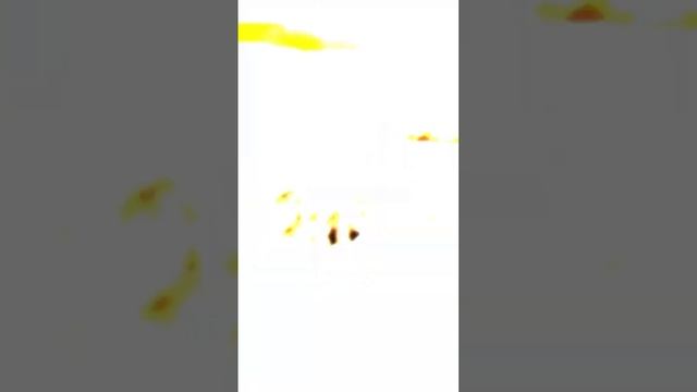 Куда сходить в Дубай? НОВИНКА! дубай shorts