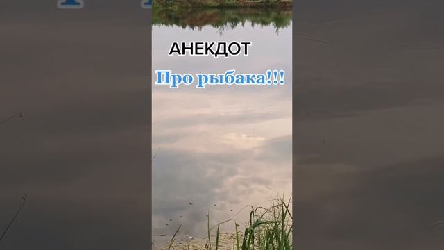 Анекдоты о рыбалке