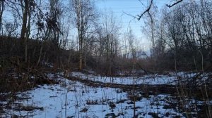 Берег реки Охта 30.12.2024