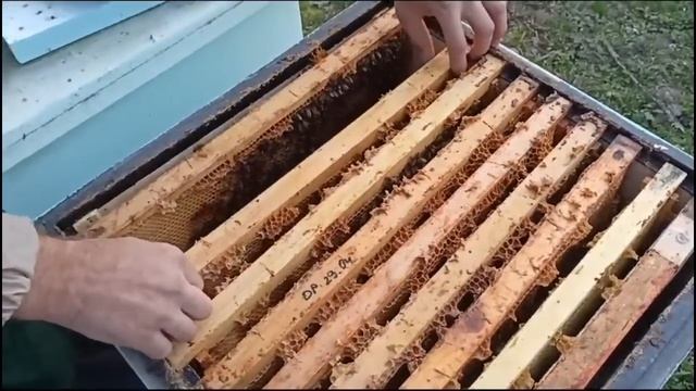 Открываем сезон 2024 года. (16.02.2024) смотреть онлайн