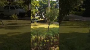 Sunrise Resort Hotel  Турция Сиде