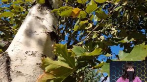 Решив проверить жену, муж оформил завещание на домработницу и уехал. Но когда он через год вернулся